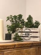 Top Katowice Top Katowice