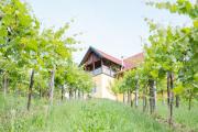 Top Sankt Stefan ob Stainz