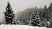 Top Sinaia