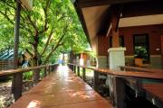 Top Amphawa