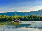 Top Daintree