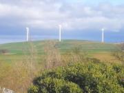 Top Caledon