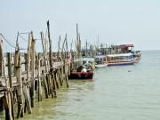 Top Tanjung Bungah