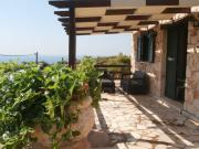 Top Kampion Top Kampion