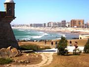 Top Matosinhos Top Matosinhos