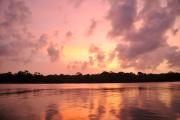 Top Tortuguero