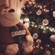 Top Sannicandro di Bari