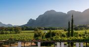 Top Franschhoek