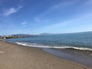 Top Casares