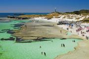 Top Wyspa Rottnest