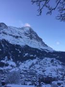 Top Grindelwald