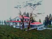 Top Mirik