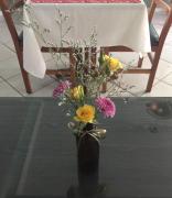 Top Bragança Paulista