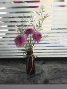 Top Bragança Paulista