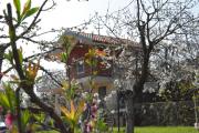 Top Piedimonte Etneo