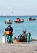 Top Struisbaai