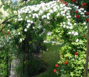 Top Torri del Benaco