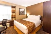Top Whitecourt Top Whitecourt
