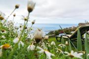 Top Arco da Calheta