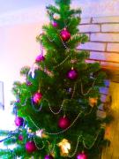 Top Ivano-Frankivsʼk