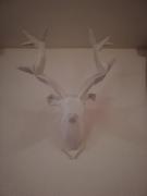 Top Blatten bei Naters