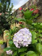 Top Campos do Jordão