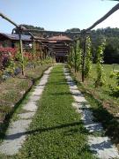Top Varallo