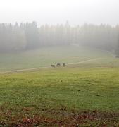 Top Bad Lauterberg