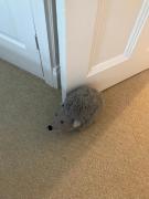 Top Woodhall Spa Top Woodhall Spa