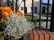 Wislana Willa Wislana Willa