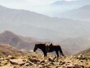 Top El Llano Top El Llano