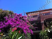 Top Hyères Top Hyères