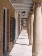 Top San Carlos del Valle