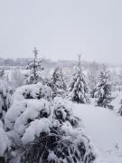 Top Kamianske Top Kamianske