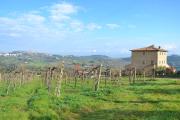 Top San Gimignano