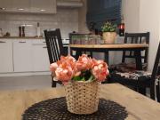 Top Polanica-Zdrój Top Polanica-Zdrój