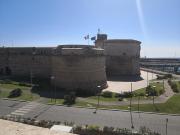 Top Civitavecchia Top Civitavecchia