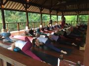 Top Ubud