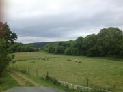 Top Quemper-Guézennec