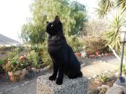 Top San Miguel de Abona