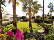 Top Estepona