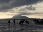 Oliva playa a 2 minutos junto a instalaciones hipicas MET