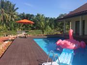 Top Surat Thani