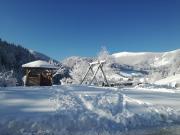 Apartments Peternelj