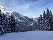 Top Abtenau