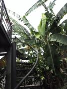 Bann Rai Klai Weang Homestay