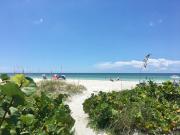 Top Clearwater Beach