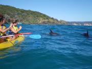 Top Rainbow Beach