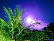 Top Presidente Figueiredo