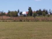 Top Frutillar Top Frutillar